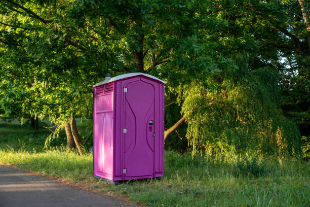 Porta potty rental for festivals in Celoron, NY